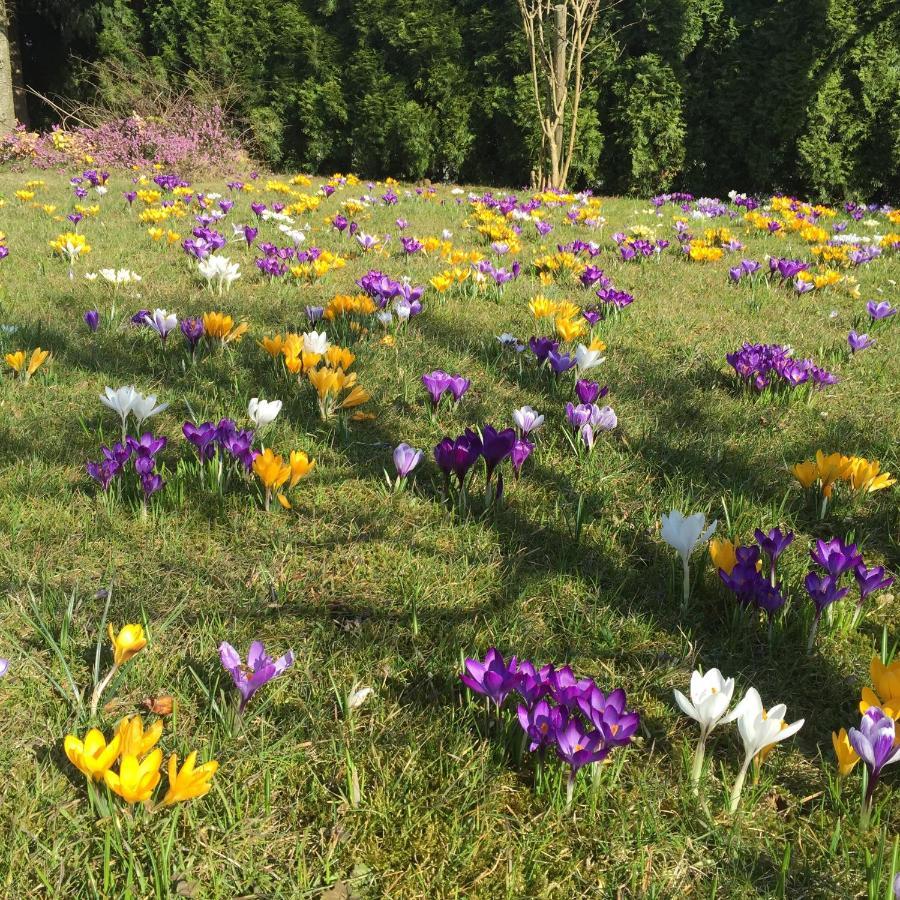 Ferienwohnungen am Feldrain - Gornau im Erzgebirge Zschopau Exterior foto